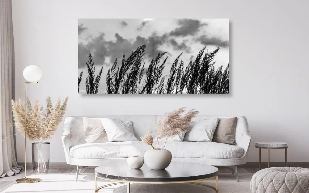 Quadro su tela – Erba in bianco e nero