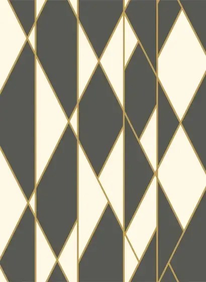 Cole & Son Carta da parati Oblique - Black/ White