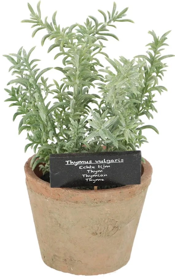 Pianta artificiale (altezza 21,5 cm) Thyme - Esschert Design
