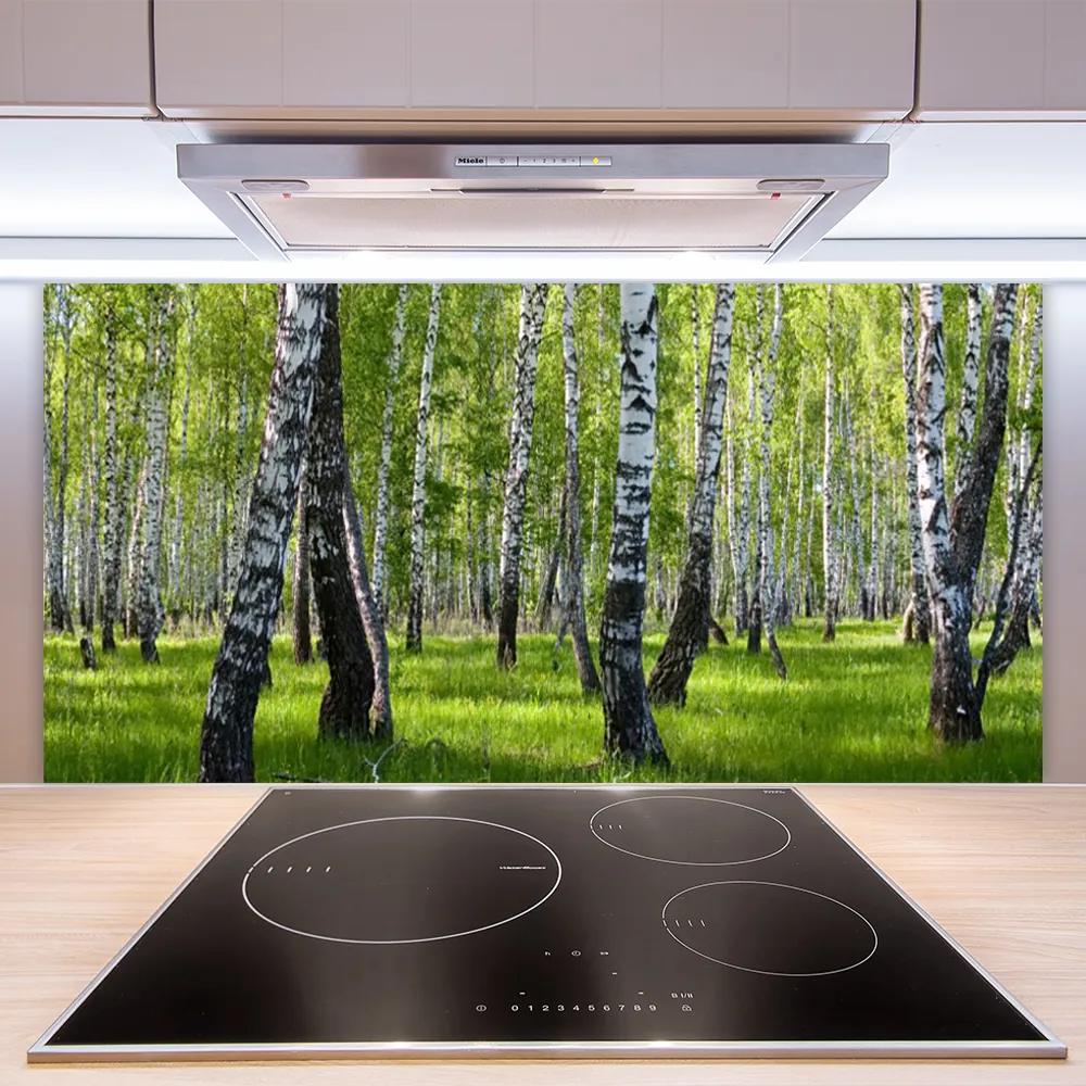 Pannello cucina paraschizzi Foresta dell'albero della natura 100x50 cm