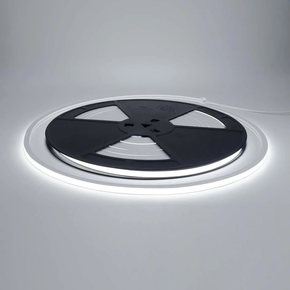Neon Flex LED 10x10 10W/m 10m IP67 24Vdc CRI 85 B. Freddo - LUMILEDS Colore Bianco Freddo 6.000K