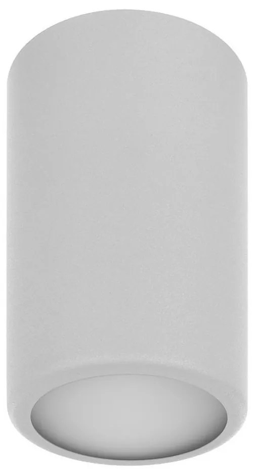 Faretto CLEO 1xE27/24W/230V grigio