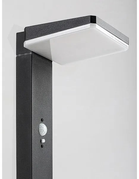 Rabalux 77079 - Lampada solare LED esterna LASSET LED/4,4W/3,7V IP54 antracite