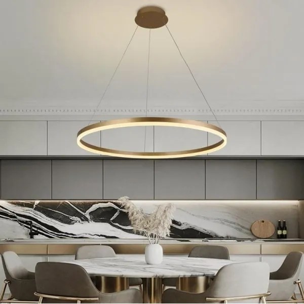 Brilagi - Lampadario a sospensione con filo LED dimmerabile CIRCLE LED/55W/230V 3000-6500K oro + +TC