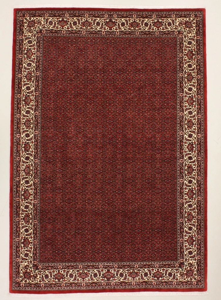 Bidjar Tappeto 300x210 (Iran) Annodato A Mano