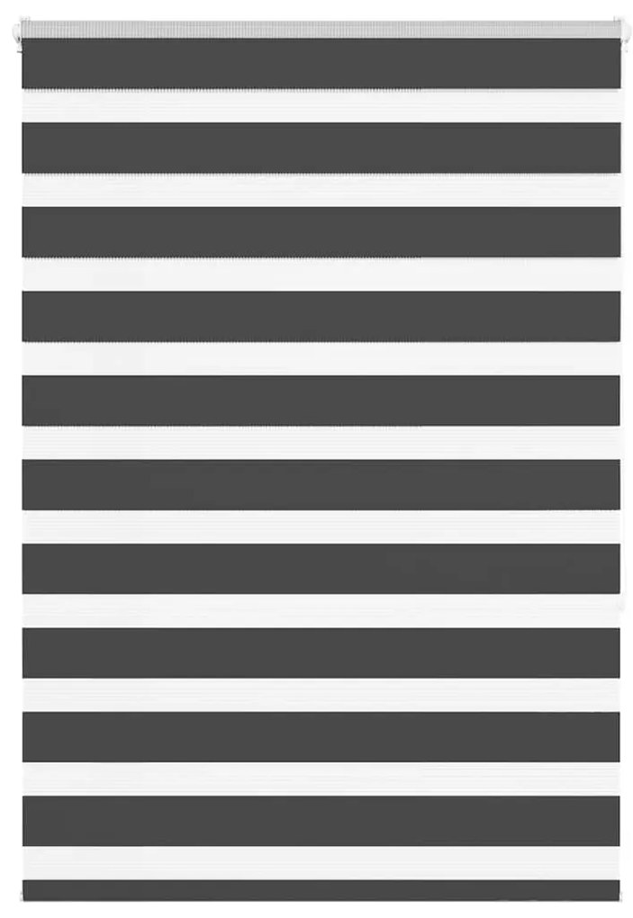 Tenda A Rullo Zebra Nero Larghezza Tessuto 110,9 Cm Poliestere /