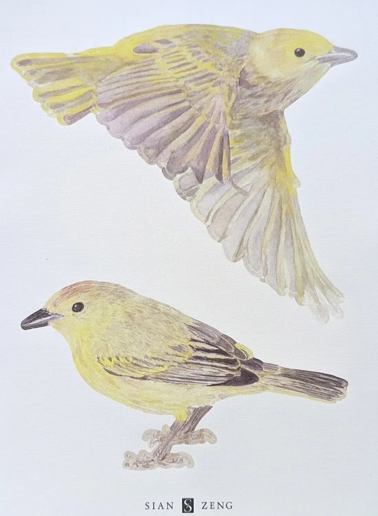 Sian Zeng Adesivo murale  - Yellow
