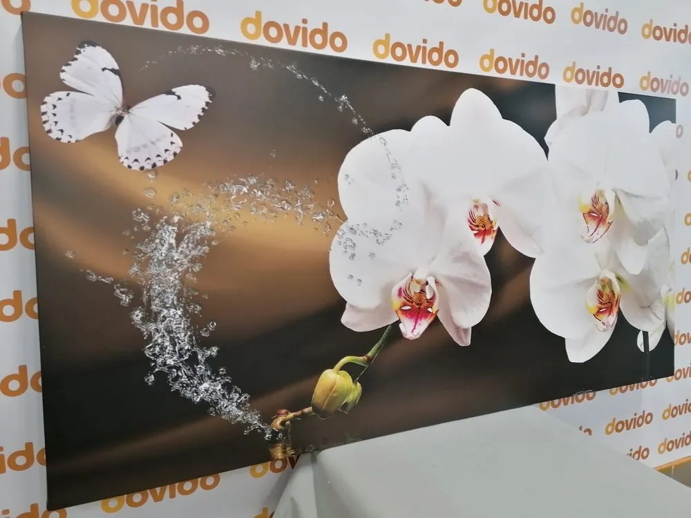 Quadro su tela – Orchidea e farfalla