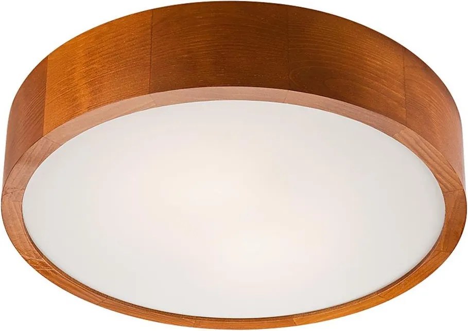 Plafoniera LED/24W/230V