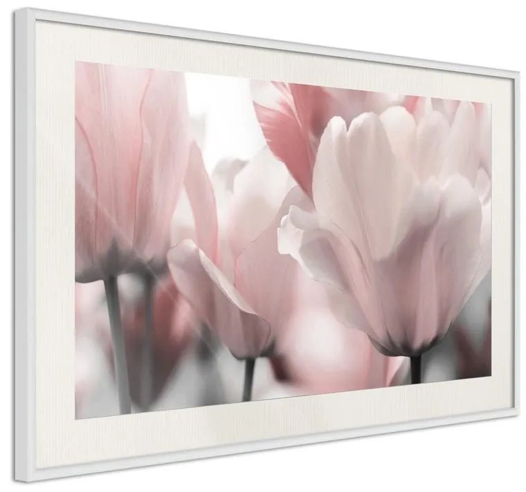 Poster  Pastel Tulips II  Cornice Quadri Cornice d'oro con passe-partout, Larghezza x Altezza Home decor 60x40