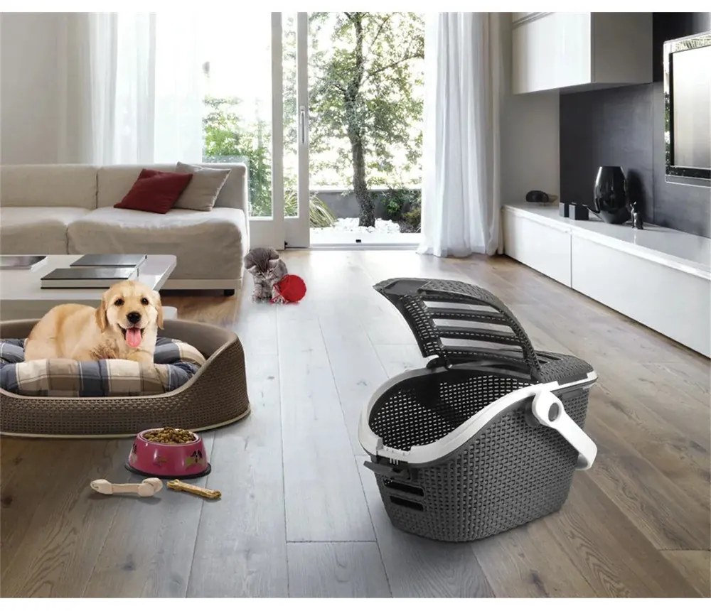 Scatola per il trasporto di animali grigio scuro - Curver