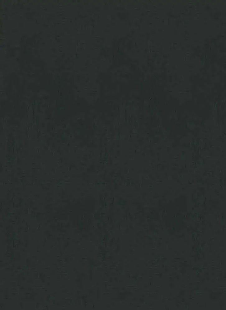 Élitis Carta da parati Parthénon - RM 1045 80