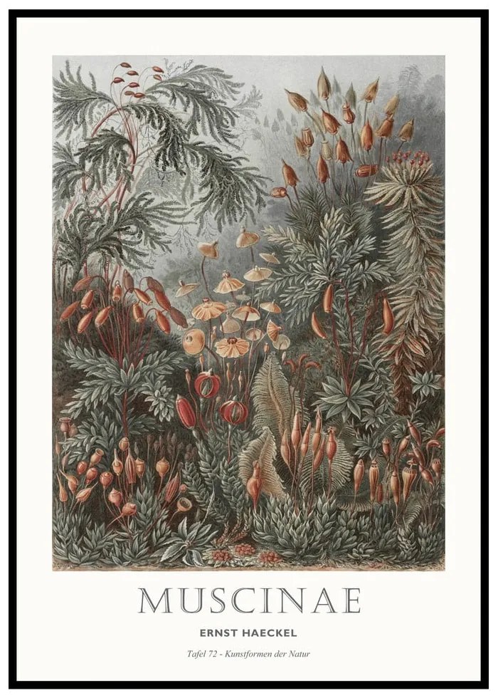 Dipinto 51x71 cm Tafel 72 – Malerifabrikken