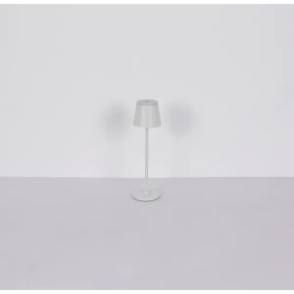 Globo 58433W - Lampada da tavolo LED dimmerabile con funzione Touch RIDLEY LED/4,6W/230V IP54