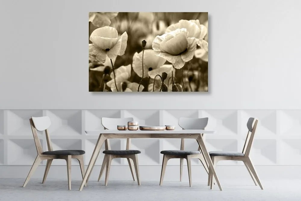Quadro su tela – Campo di papaveri selvatici in versione seppia