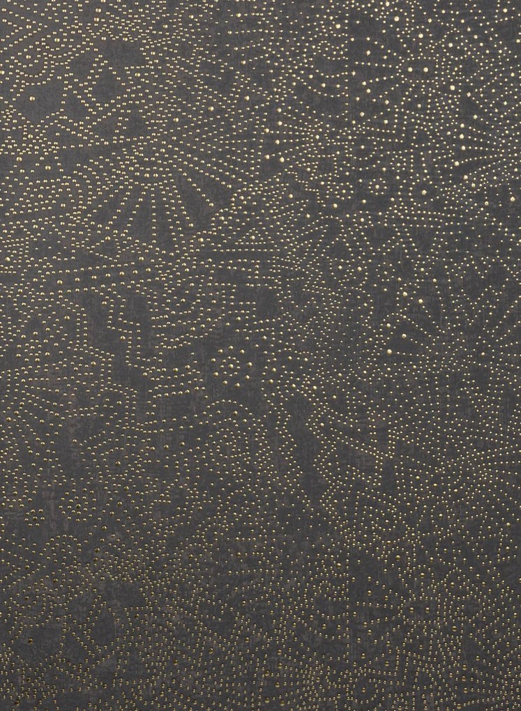 Arte International Carta da parati Gobi - Starry Black