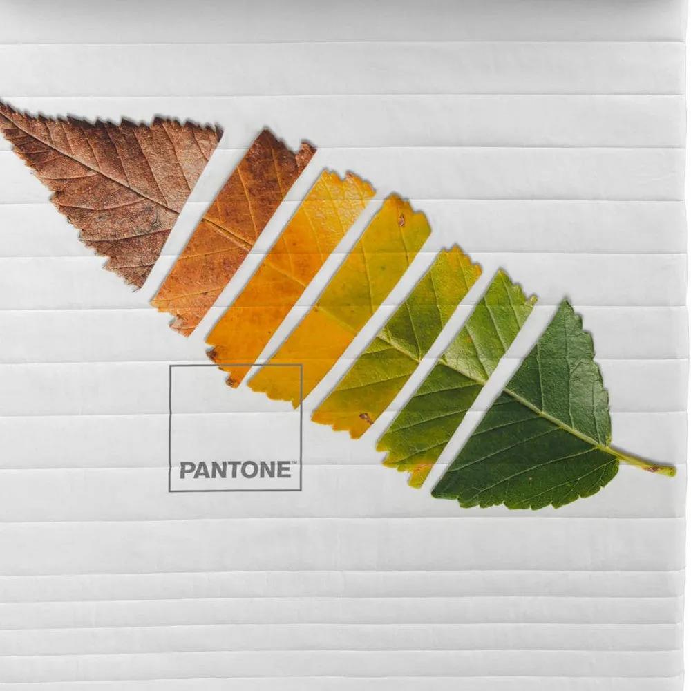 Trapunta Leaf Pantone - Letto da 135 (240 x 260 cm)