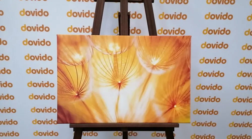 Quadro su tela – Soffione in splendida esecuzione