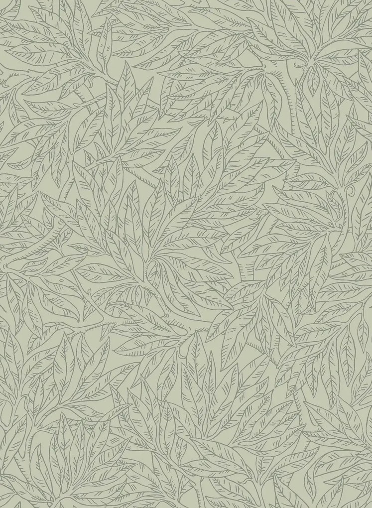 Boråstapeter Carta da parati Salix Alba - 7787
