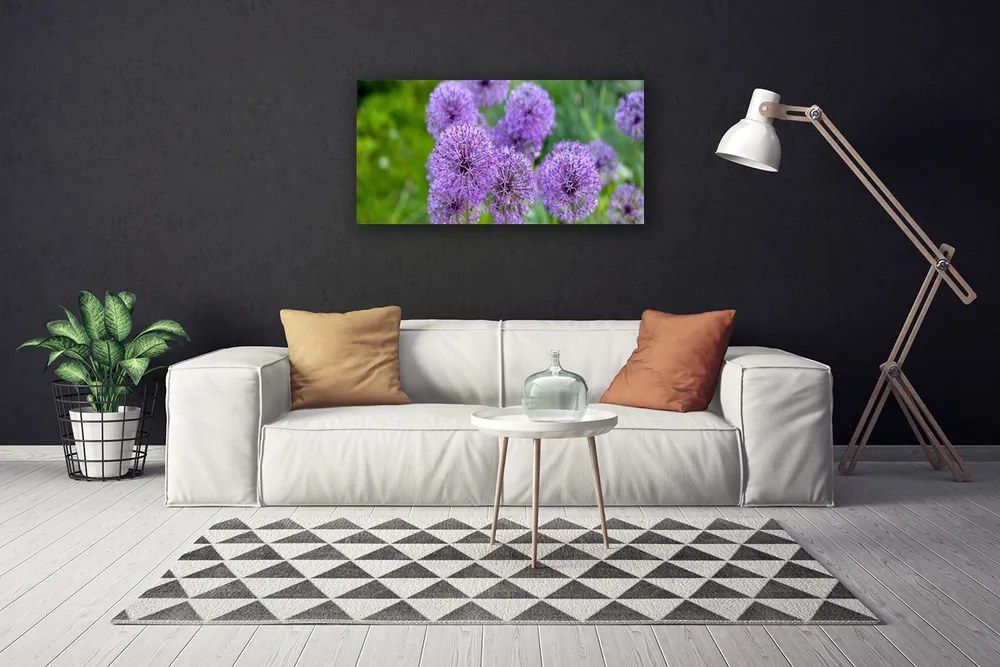 Foto quadro su tela Fiori viola del prato 100x50 cm