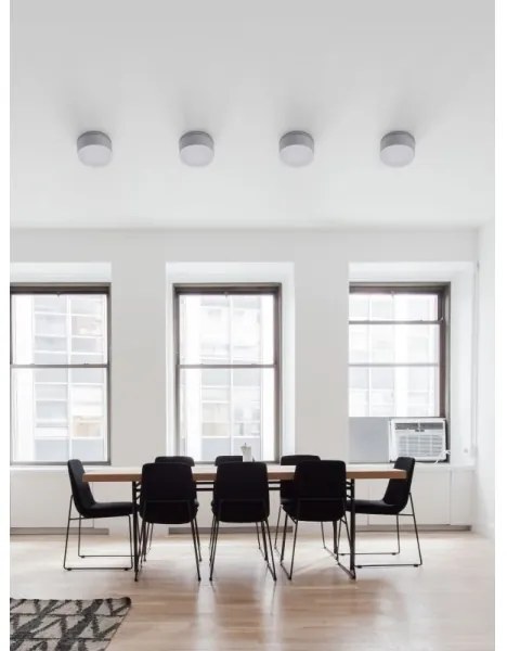 Palnas 66001487 - Plafoniera LED da esterno BRUNO LED/10W/230V IP54