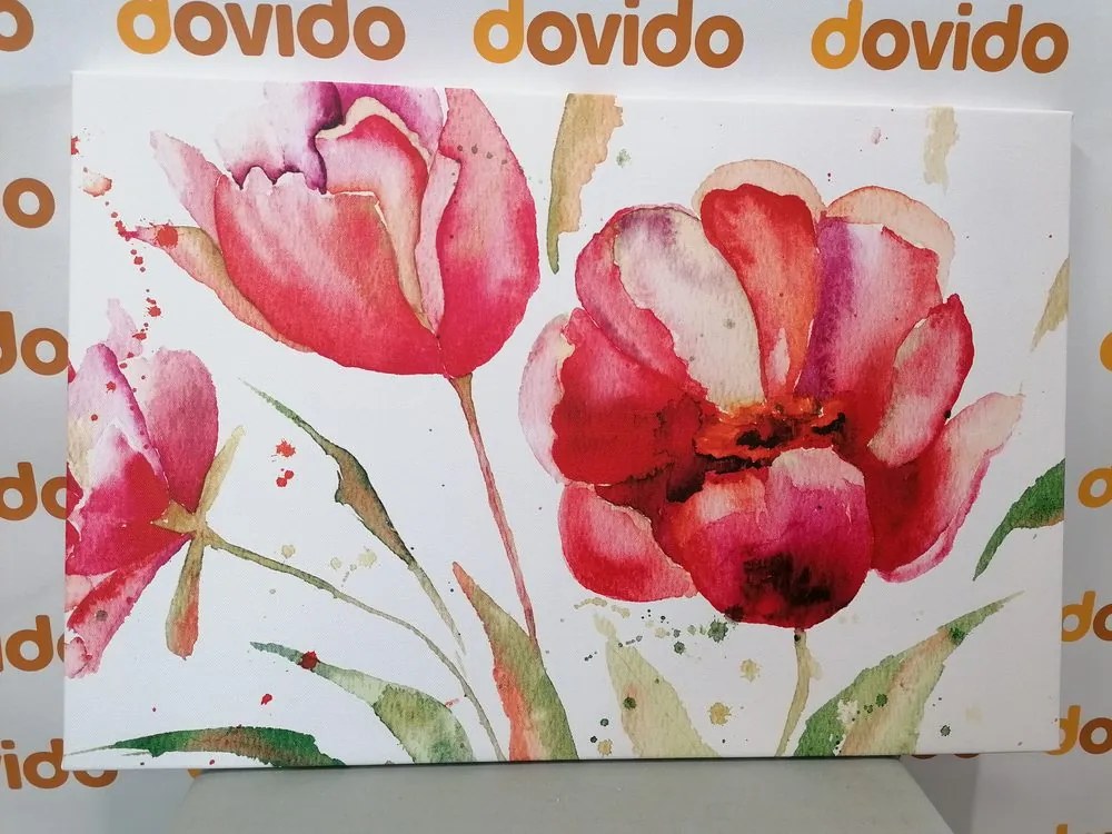 Quadro su tela – Tulipani stupendi in versione interessante