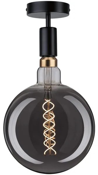 Paulmann 79760 - Plafoniera HALDOR 1xE27/20W/230V