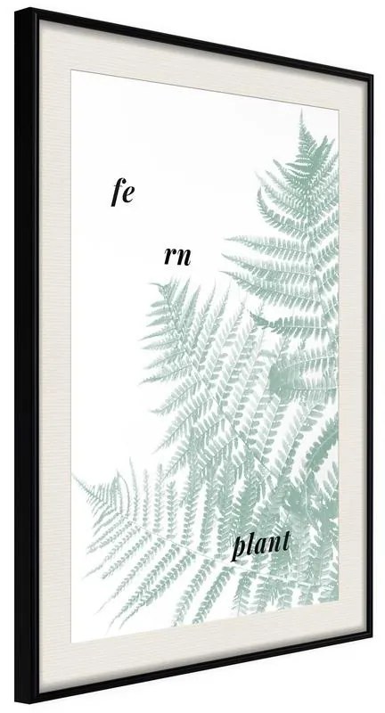 Poster  Pale Green Fern  Cornice Quadri Cornice nera con pass-partout, Larghezza x Altezza Home decor 30x45