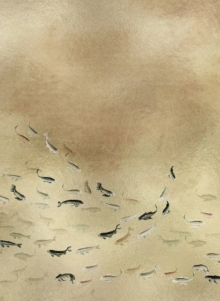 Coordonne Carta da parati panoramica Koi Metallics - Gold