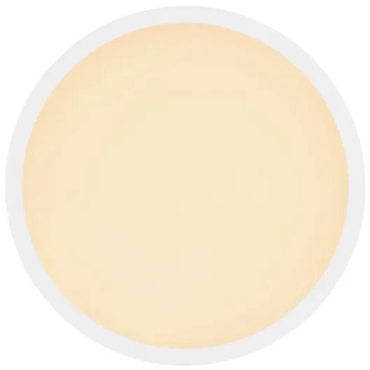 Globo 41562-24W - Plafoniera LED da bagno SAPANA LED/24W/230V IP44