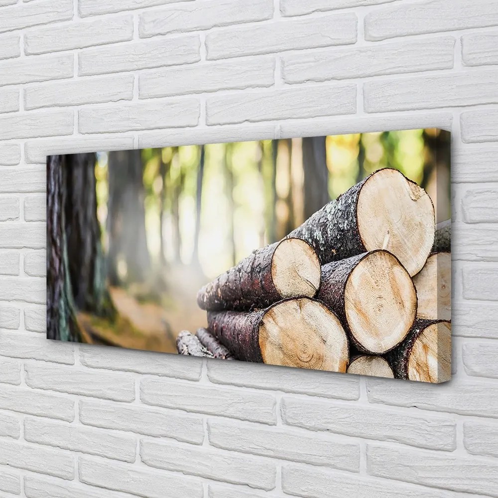 Quadro su tela Foresta naturale di legno 100x50 cm