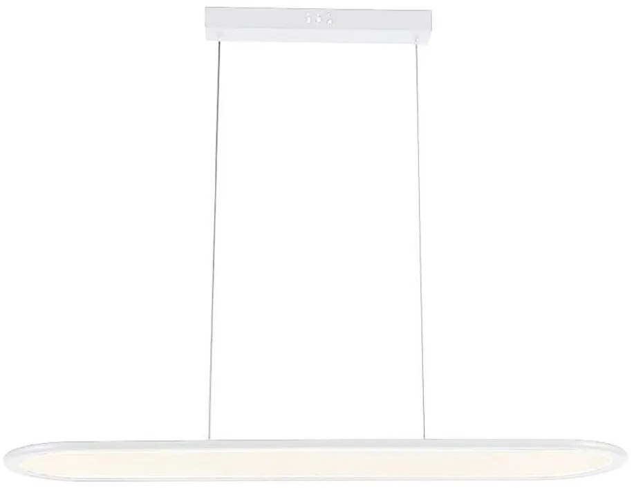 Lampadario LED a sospensione con filo LED/24W/230V 4000K bianco