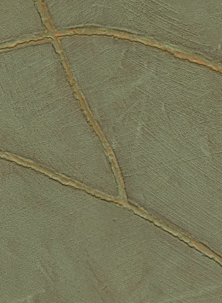 Élitis Carta da parati Kintsugi - VP 1004 62