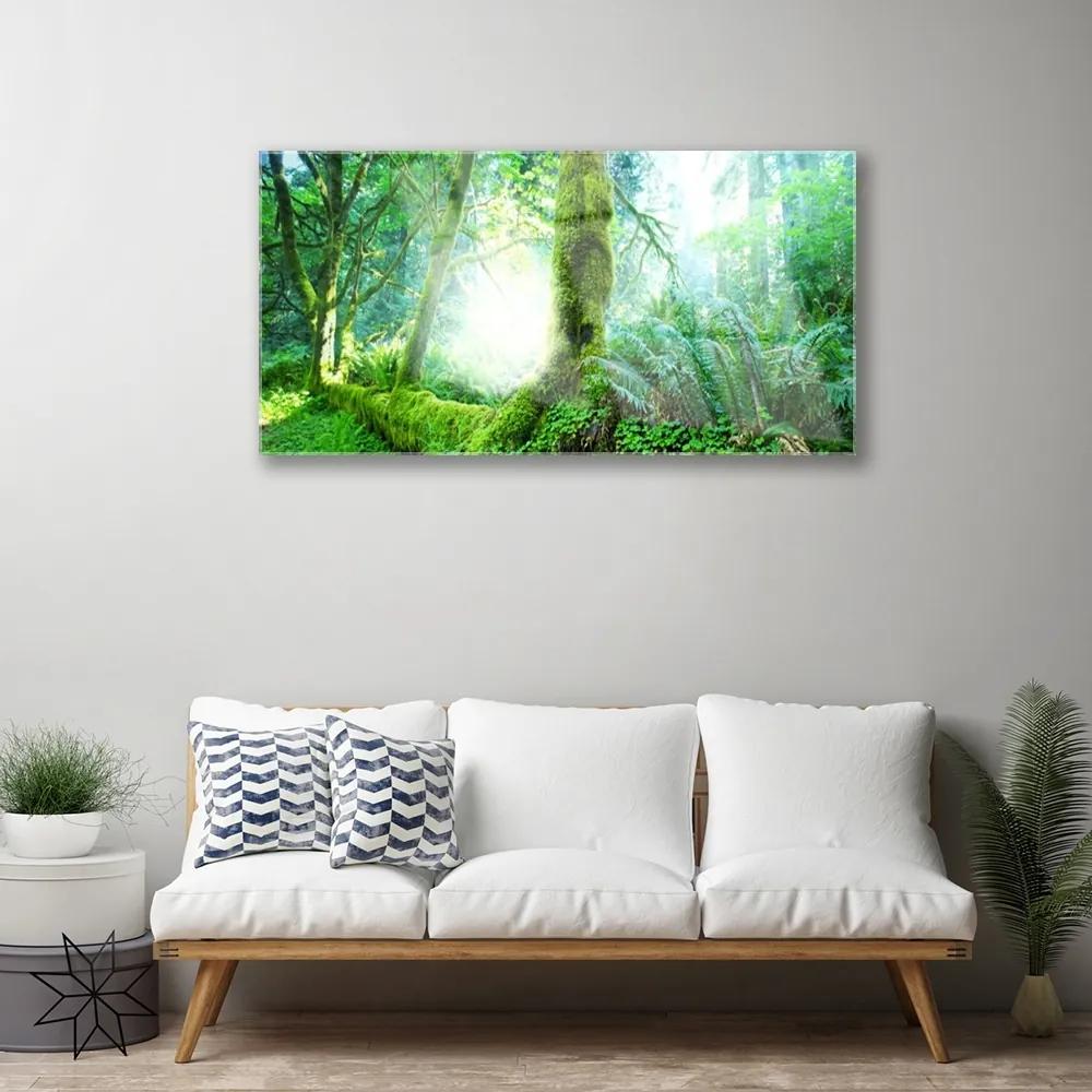 Quadro acrilico Foresta della natura del muschio 100x50 cm