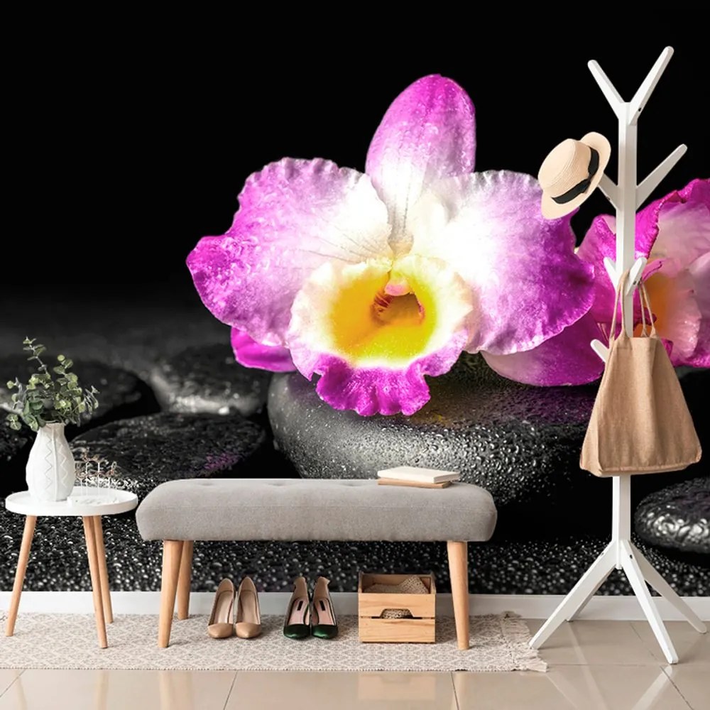 Carta da parati – Orchidea su pietre Zen