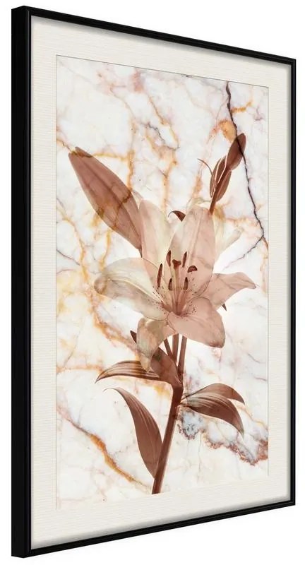 Poster  Lily on Marble Background  Cornice Quadri Cornice nera con pass-partout, Larghezza x Altezza Home decor 30x45