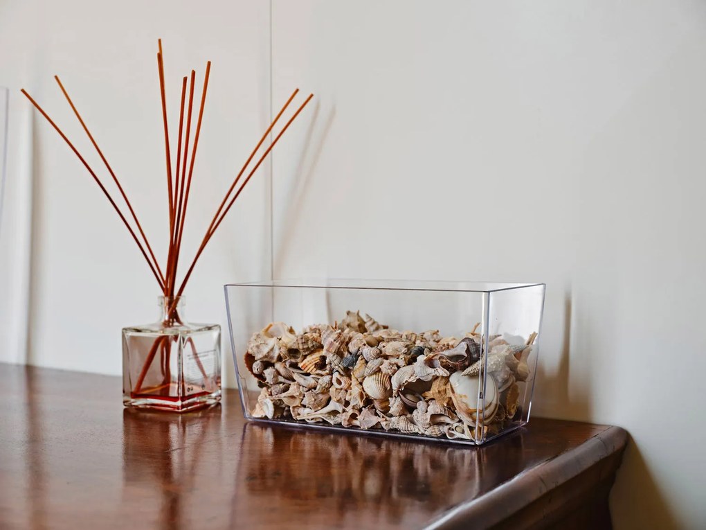 Vaso Rettangolare 30x14,5x15 cm in Plastica Coimbra 30 Trasparente...