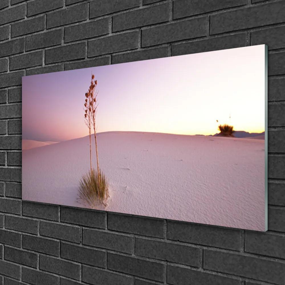 Quadro vetro Paesaggio di sabbia del deserto 100x50 cm