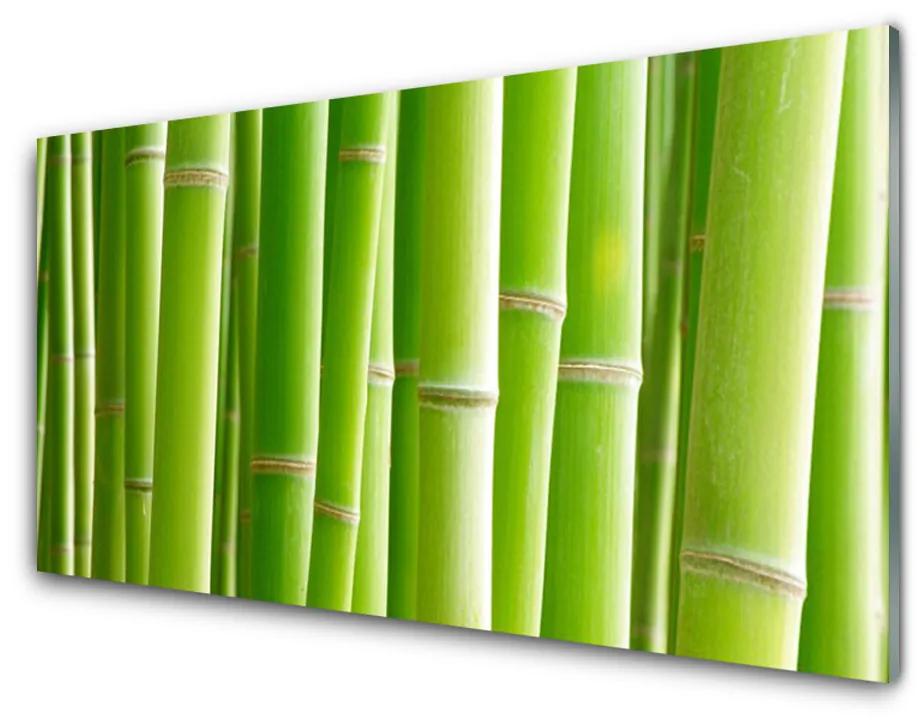 Pannello rivestimento parete cucina Stelo della pianta del fiore di bambù 100x50 cm