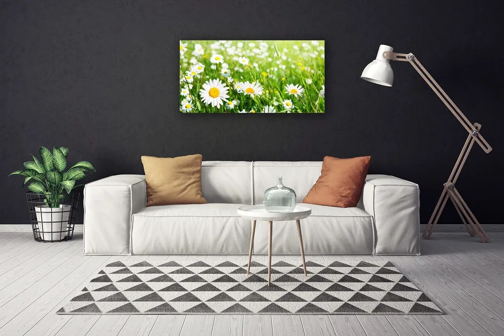 Quadro stampa su tela Pianta di fiori di margherita 100x50 cm