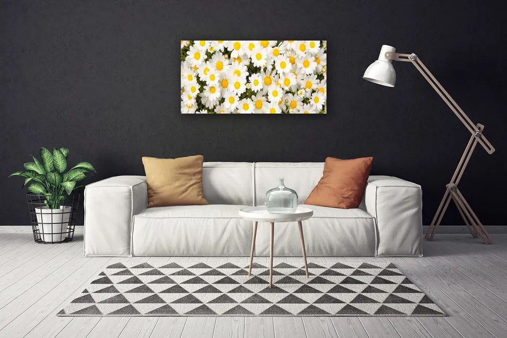 Quadro su tela Fiori di margherite 100x50 cm