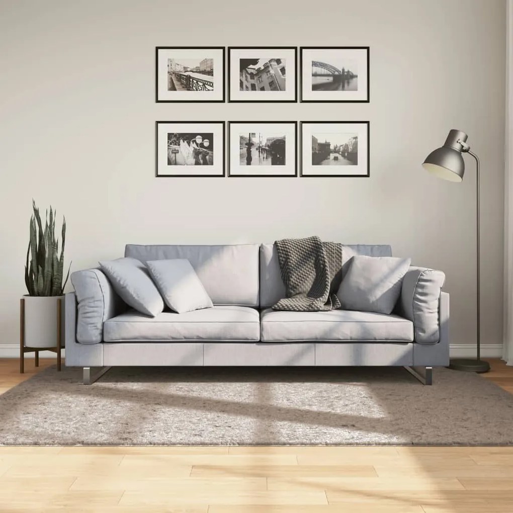 Tappeto Shaggy Pamplona A Pelo Lungo Moderno Beige 140x200 Cm /