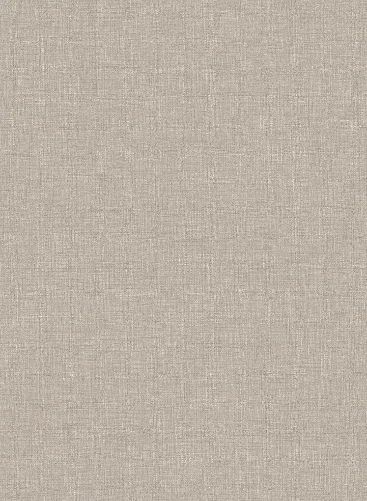 Boråstapeter Carta da parati Canvas - Taupe