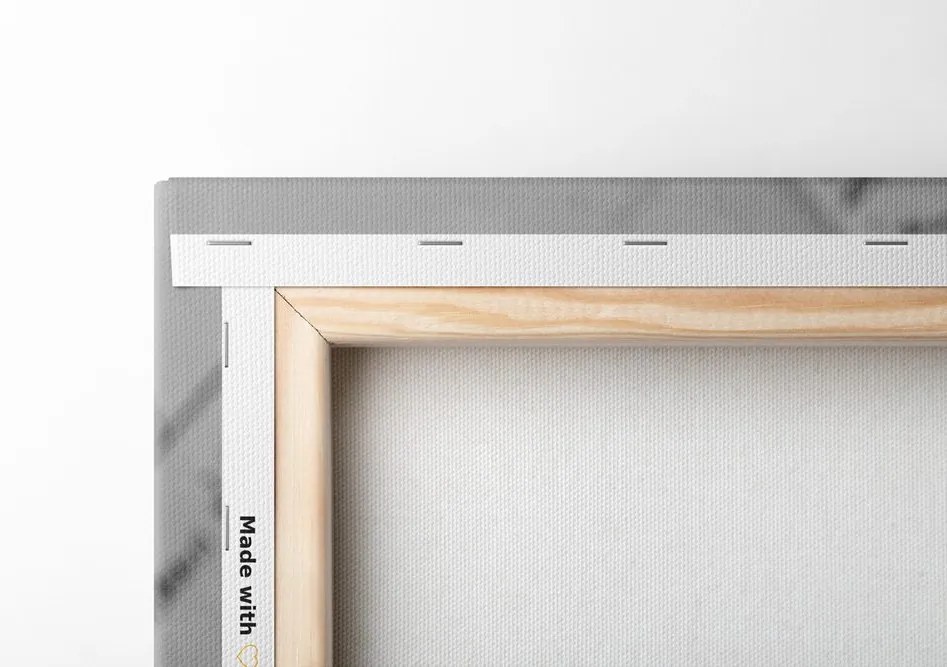 Quadro su tela – Gigli su vecchio documento in bianco e nero