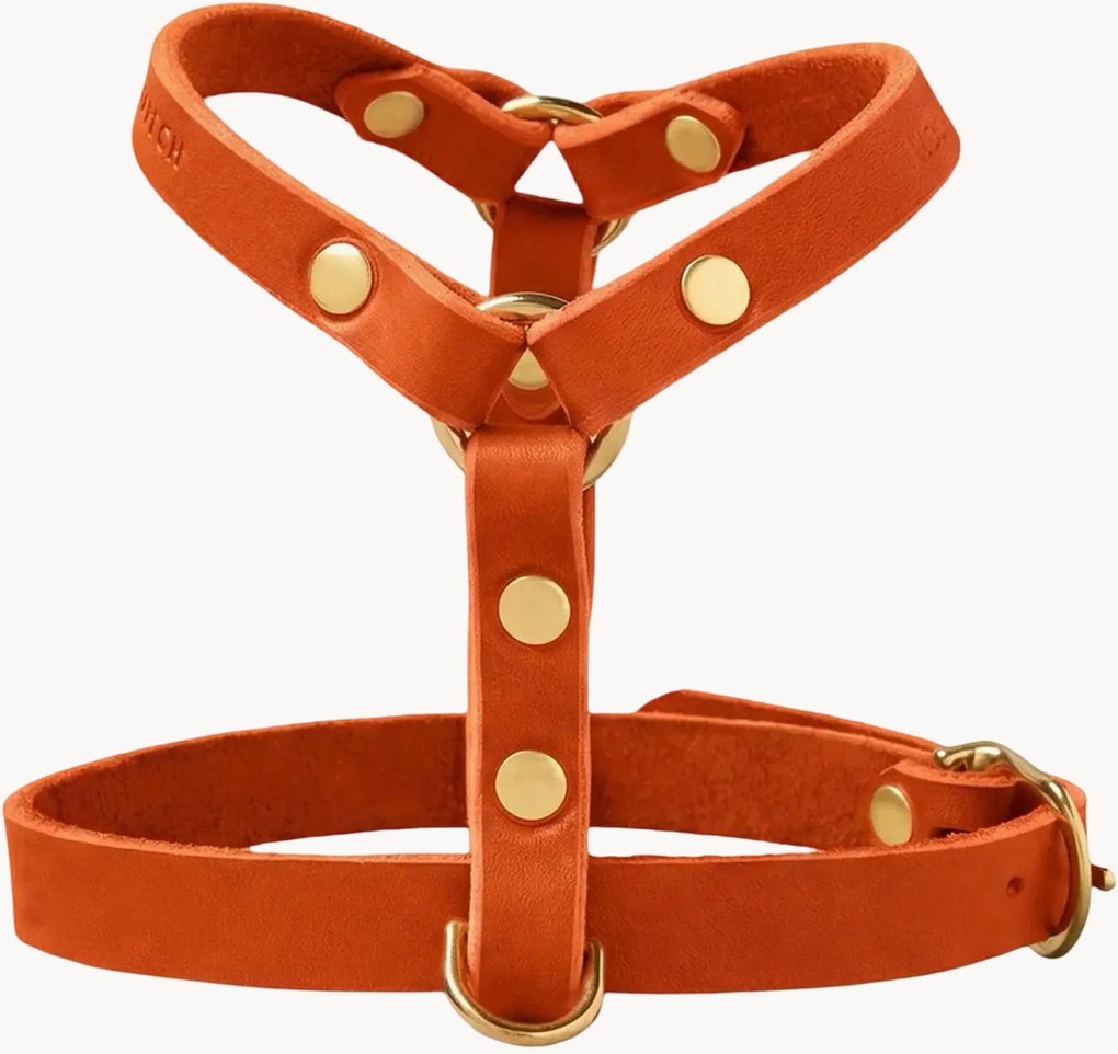 Imbracatura per cani in pelle Y-Harness, varie misure