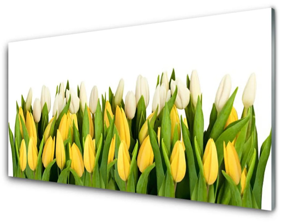 Pannello paraschizzi cucina Tulipani, fiori, piante 140x70 cm
