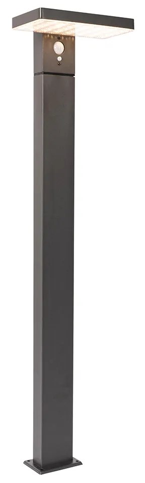 Lampada da terra per esterni in grigio scuro 80 cm con LED e luce dimmerabile a energia solare - Sunnie