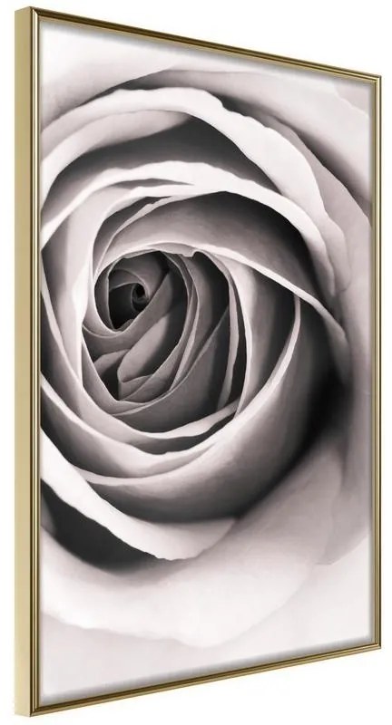 Poster  Structure of Petals  Cornice Quadri Cornice d'oro, Larghezza x Altezza Home decor 40x60