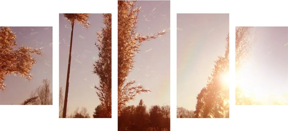 Quadri 5 pezzi – Atmosfera autunnale