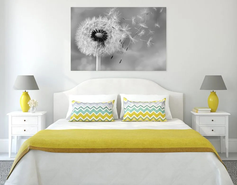 Quadro su tela – Soffione magico in bianco e nero